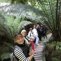 #Australia #Sydney #melbourne #goldcoast # #ViajarJuntas. Salidas grupales diseñadas y pensadas para mujeres. #Viajesdemujeres en grupo.#ViajamosJuntas por el mundo. #Viajemosjuntas en el próximo viaje